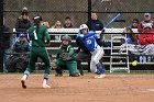 Softball vs Babson  Wheaton College Softball vs Babson College. - Photo by Keith Nordstrom : Wheaton, Softball, Babson, NEWMAC